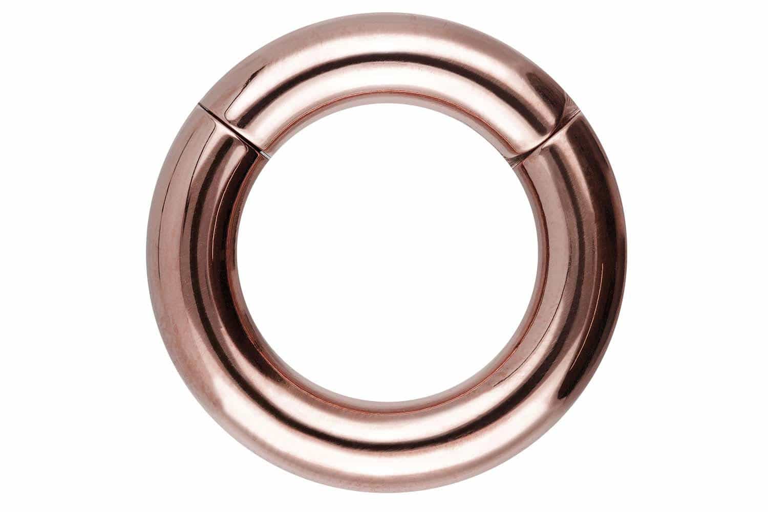 Chirurgenstahl Segmentring Clicker Piercing